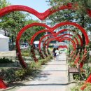 곡성-033 이미지