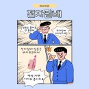 베이프큐 정관점