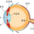 베이지동물병원 이미지
