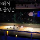 물멍스테이 이미지