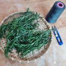 로즈마리 스머지스틱 만들기 이미지