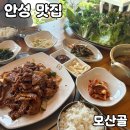 모산골 | 안성 쌈밥 맛집 [모산골] 솔직 후기
