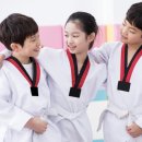 신중태권도 이미지