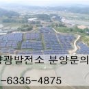 동부리태양광발전소 이미지