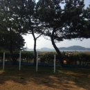 큰나무민박 이미지