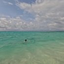 환상의 섬 | 일본 환상의 섬 이시가키 여행/ 맛집 일기