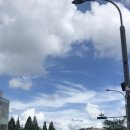 하늘멍가 이미지