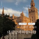 [일반] 유튜브 크리에이터 / 오후 / 24.11.12 | 세비야 대성당 일요일 입장료, 히랄다탑, 알카사르까지 오디오가이드로 둘러보기