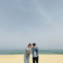 챠챠래쉬 | 강릉여행 24.4.26~4.27