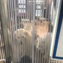 에이엔씨코리아 이미지