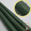 옥이텃밭 이미지