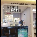 고은동물병원 이미지