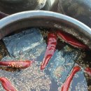 조선간장 이미지