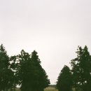 들레목장 이미지