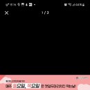 깻잎두마리치킨 이미지