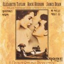 자이안트 이미지