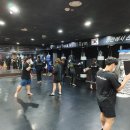 세미폭스 이미지