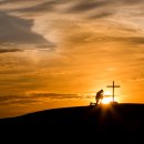 아비누 말케이누 이미지