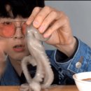 개역겨운 산낙지 ASMR 먹방 이미지