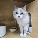 소래로669번길 이미지