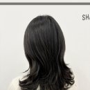 은헤어아트 - 여주시 | 은헤어아트