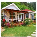 비피펜션 이미지