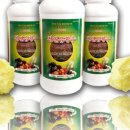 라파 크린 이미지