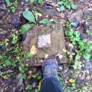 명곡체육공원 이미지