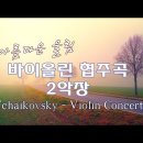 차이코프스키 ... 바이올린 협주곡(Violin Concerto D major, Op 35) /﻿ 화려해서 더 애절한 아름다운 울림 이미지