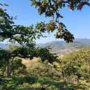 밤재 농장 이미지