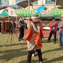 일로초등학교 이미지