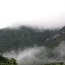 달빛조은 이미지