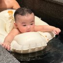 델피노 I 이미지