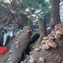 각골농장 이미지