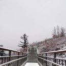 태영아파트 버스정류장 이미지