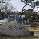 풍기인삼농업법인