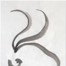 소나무둥지 이미지