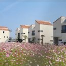 비자림빌리지 이미지