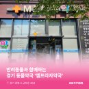 경기프라자약국 이미지