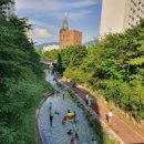 단지이것 이미지