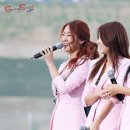 큐코리아 이미지