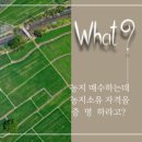 신읍2길 이미지