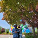 6월 정투길 가온 텐덤 꽃이 활짝 폈어요! ＜feat. 리마인드 전북 적상산 투어＞ 이미지