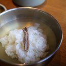 이인한우농장 이미지