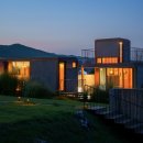 스테이 감동 이미지