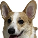 소사로794번길 이미지