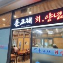 돌고래회 이미지