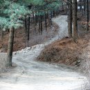 감악산 캠핑숲 이미지