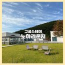 강화도 감성숙소 독채 풀빌라 구공스테이 노하라운지 이용후기