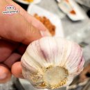 신대해500원양꼬치: 안성에서 만나는 가성비 맛집